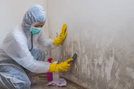 Best Real Estate Mold Inspection  in Pistakee Highlands, IL